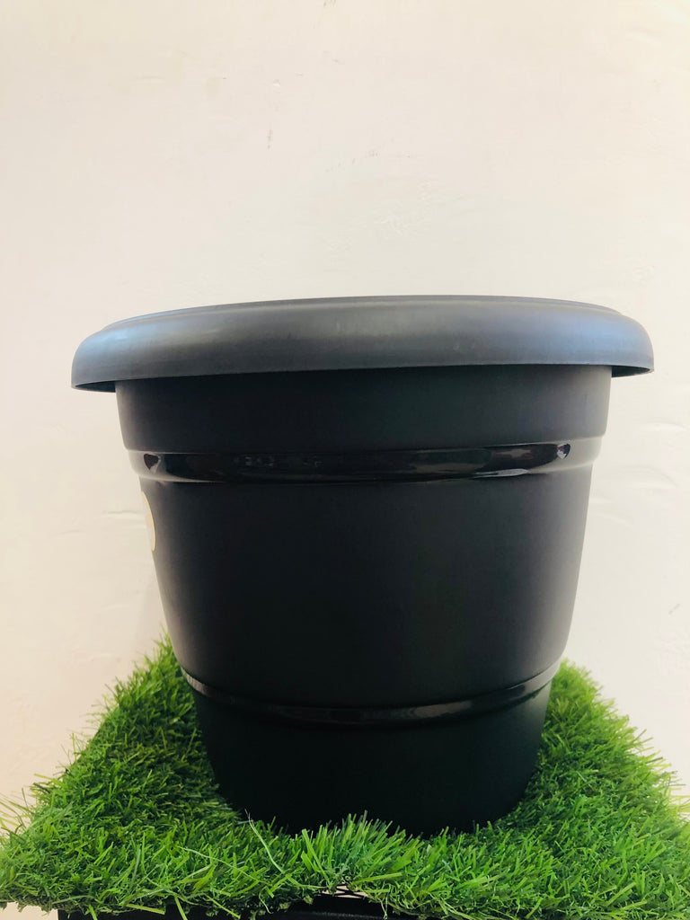 black plastic pot “12”
