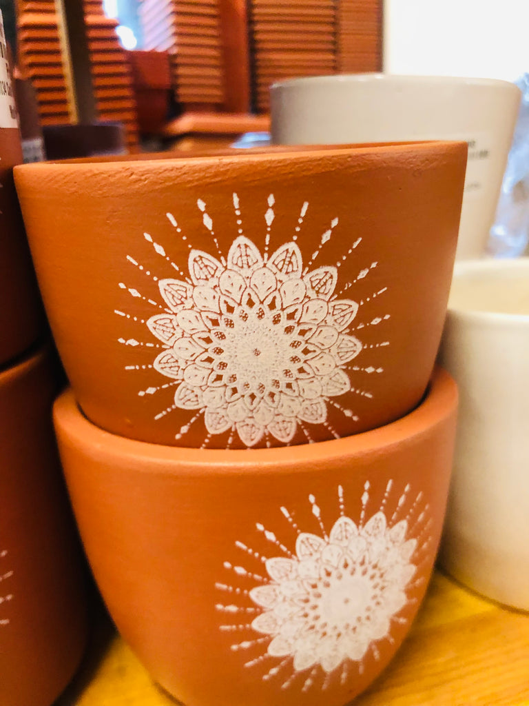 mud pot