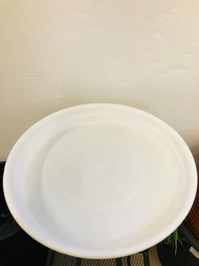 Colour plate round “20”