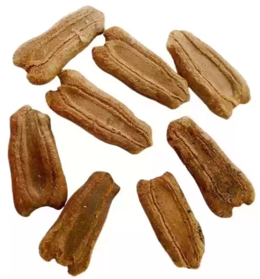 bottle gourd seed packet