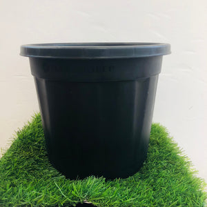 Black “10” Plastic pot