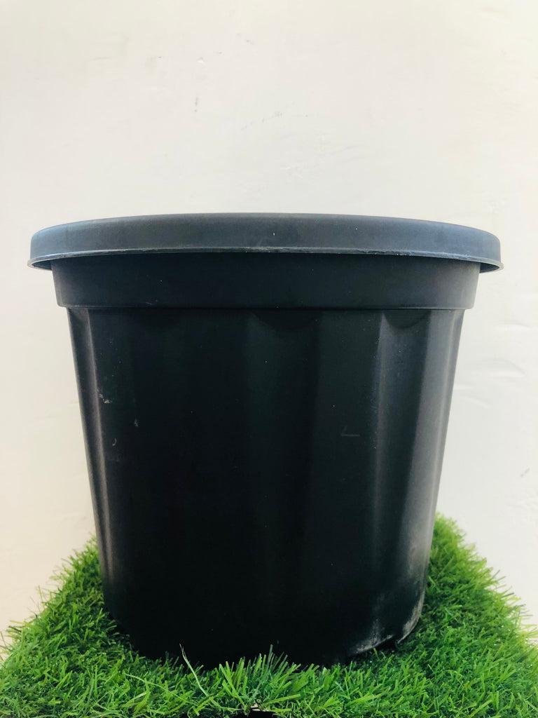 Black pot (Round)”12”