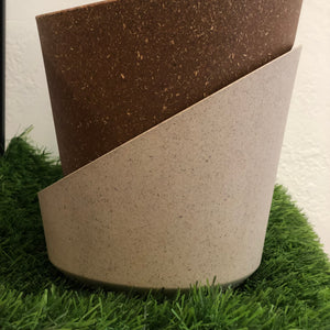 Altantis self 15Cm Plastic pot