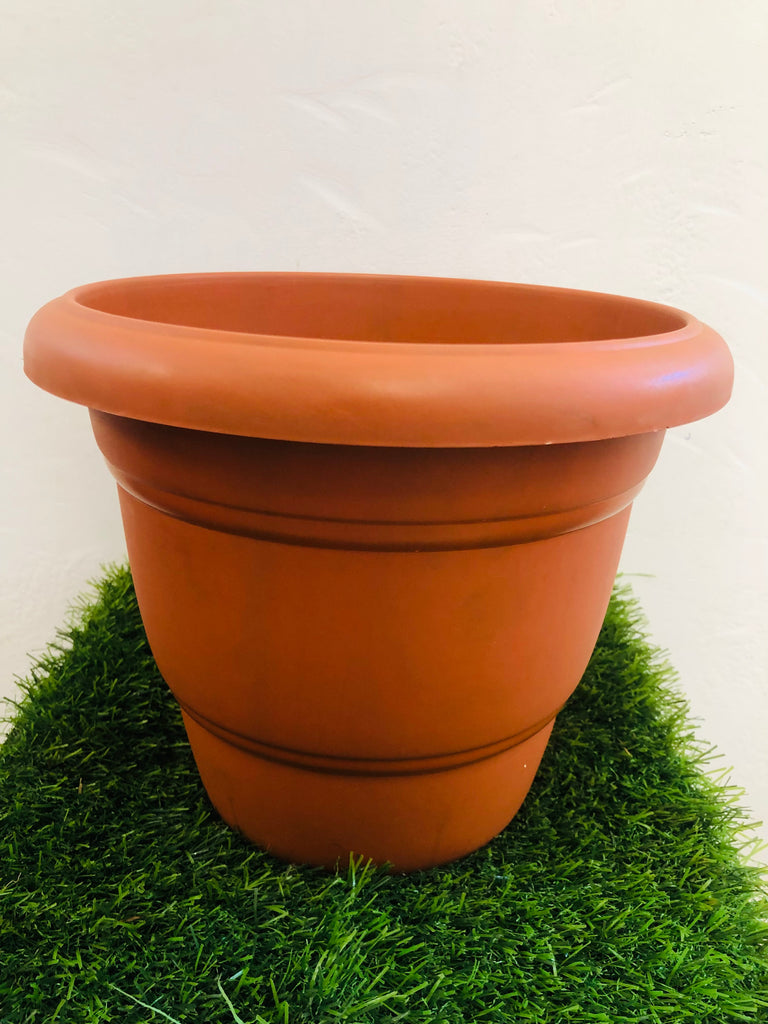 10 Inch plastic pot (Round)