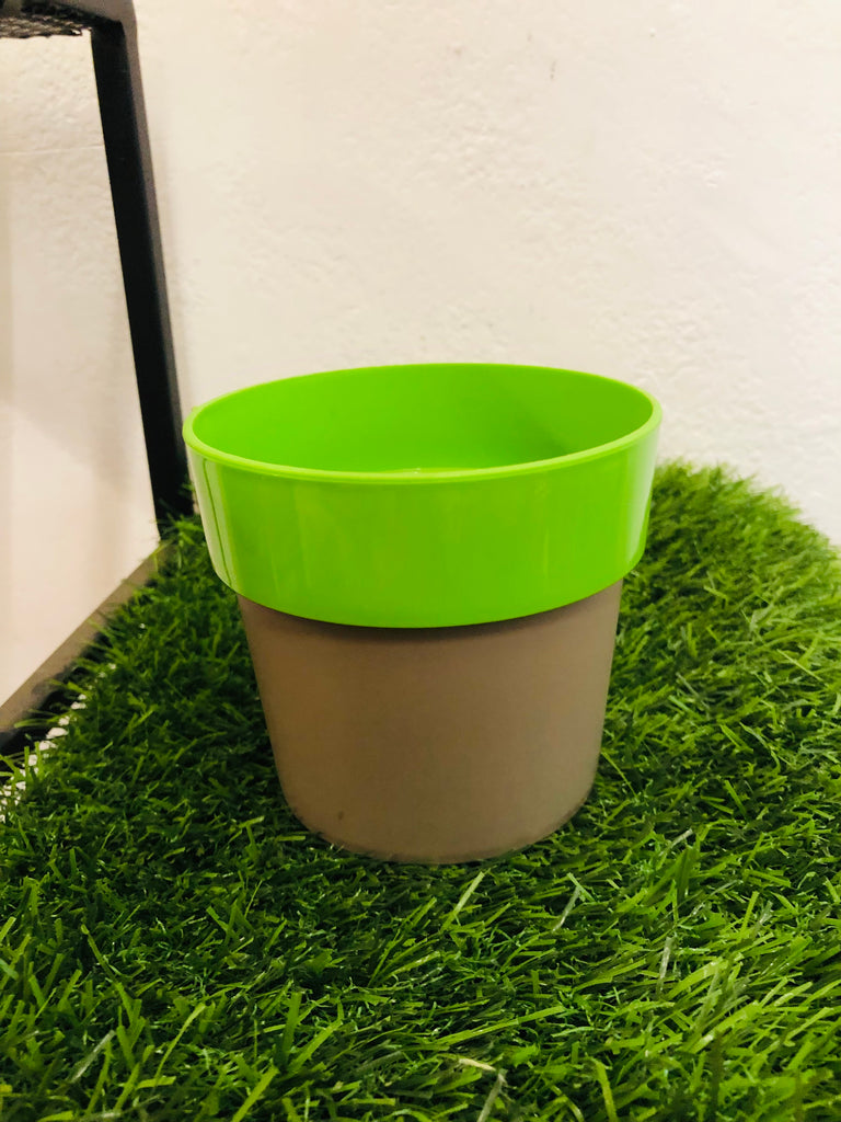 Arty 14 mix Colors Plastic Pot