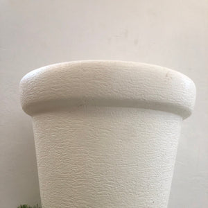 Crown “12” Plastic Pot