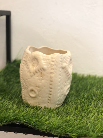 Different shape ceramic pot