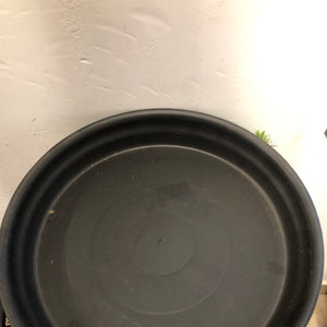 Black plate round “20”