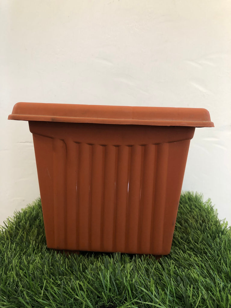 8” square plastic pot