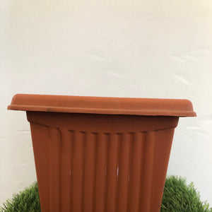 8” square plastic pot