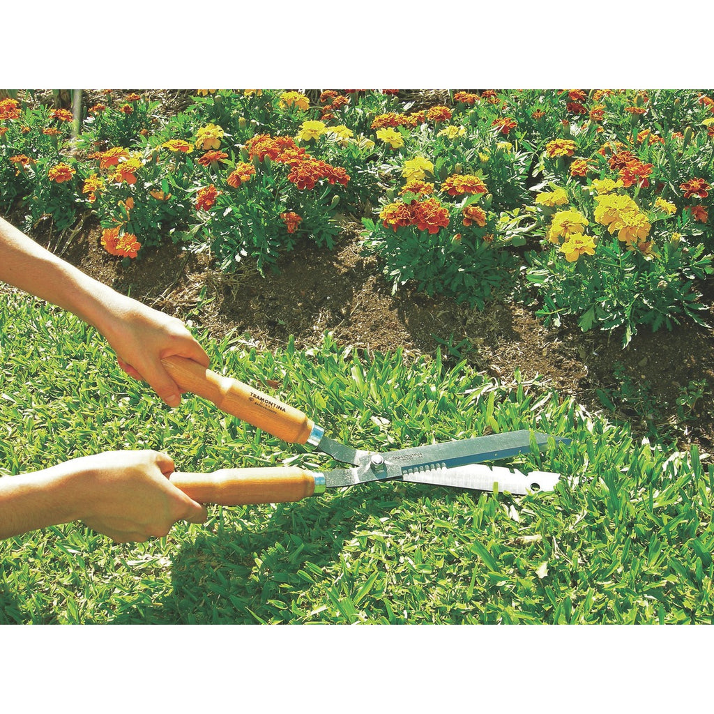 Hedge Shears