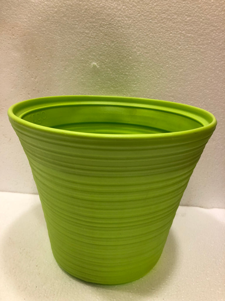 10 inch POT PINE/LENO Plastic