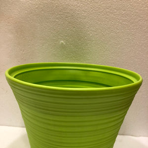10 inch POT PINE/LENO Plastic