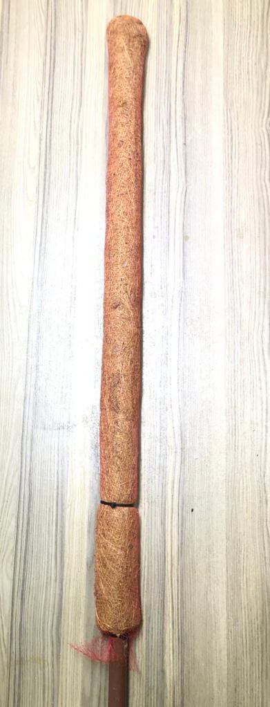 coir moss stick 3ft