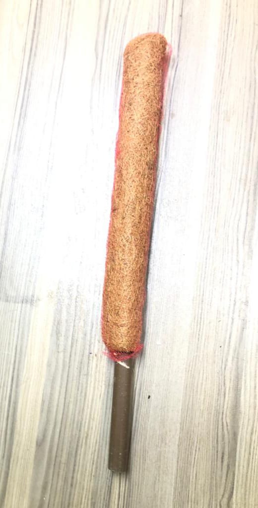 Moss stick 2ft