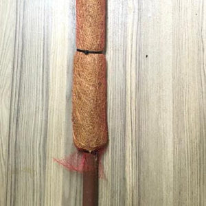 coir moss stick 3ft