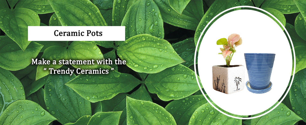 CERAMIC POTS