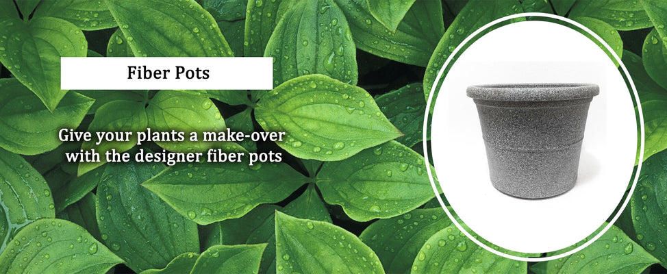 FIBER POTS