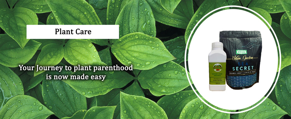 Plant Care