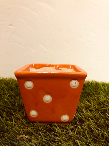 Paint sprayed Ceramic pot