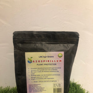 Azospirillum