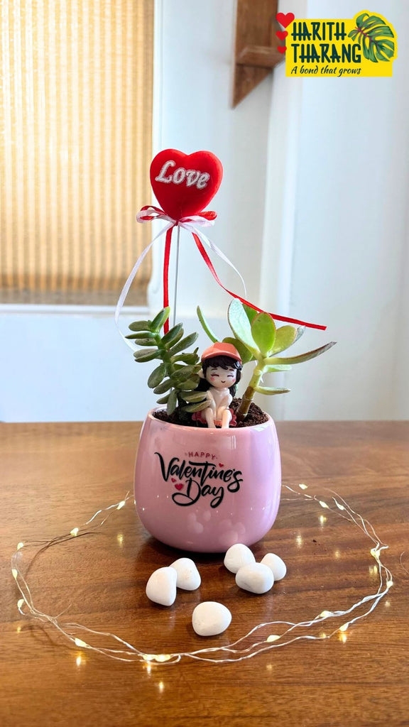 Pink ceramic pot - plants additional