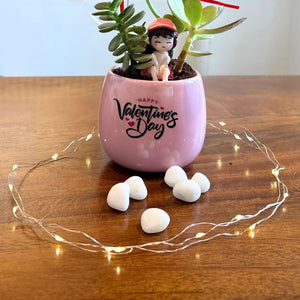 Pink ceramic pot - plants additional