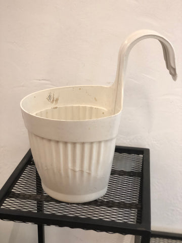 Lilly hook Plastic pot