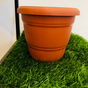 sheera 6 inches terracotta plastic  pot
