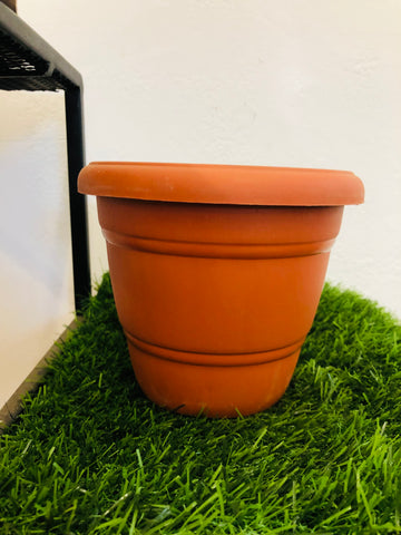 sheera 6 inches terracotta plastic  pot