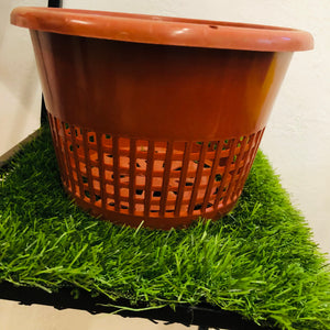 orchids plastic pots”8”