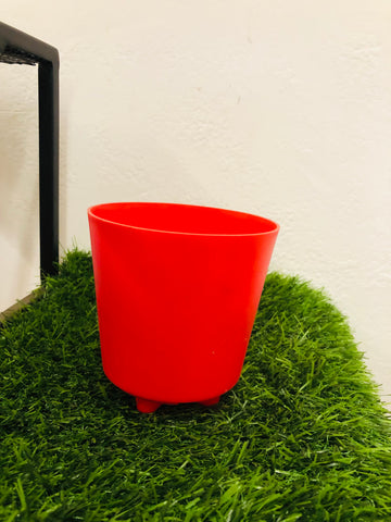 Flower krish 12 Plastic Pot