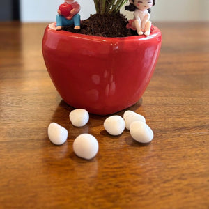 Heart red ceramic pot - plants additional