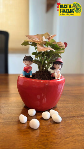 Heart red ceramic pot - plants additional