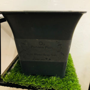Sq 9 Plastic Pot