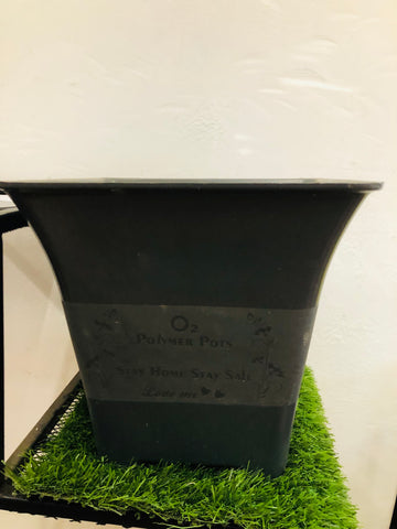 Sq 9 Plastic Pot