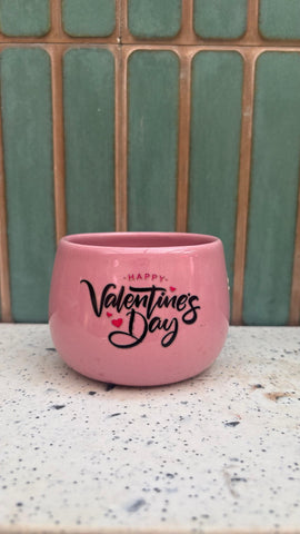Pink ceramic pot - plants additional