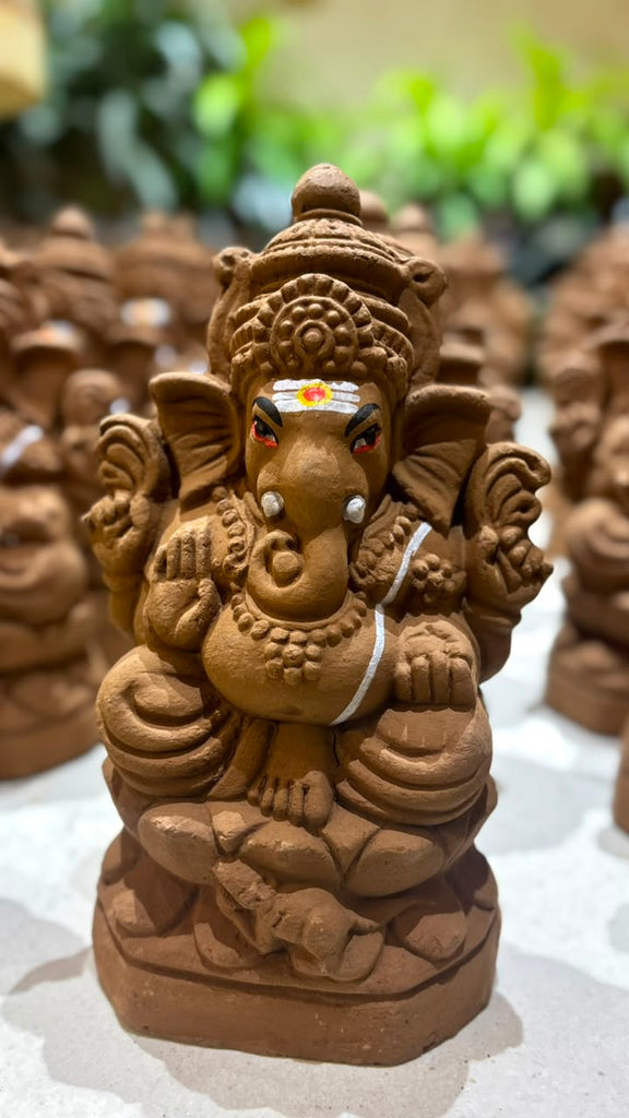 seed Ganesha  Medium Combo