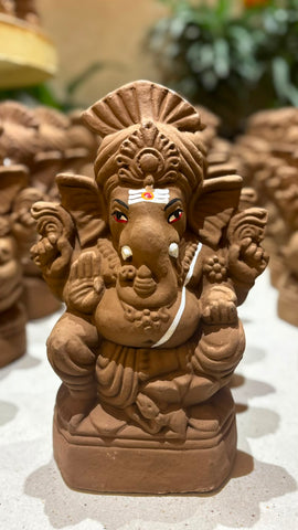 Seed Ganesha  Large Combo
