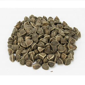 Drumstick seeds