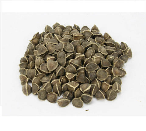 Drumstick seeds