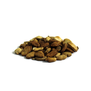Bitter Gourd Seeds