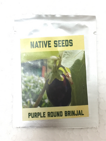 Purple round brinjal