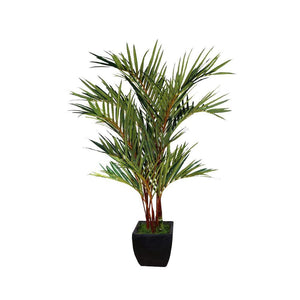 Red palm
